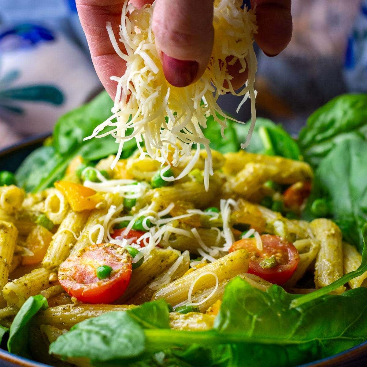 Grated Cheese being added to the vegetarian Penne Pesto pasta on a bed of spinach.