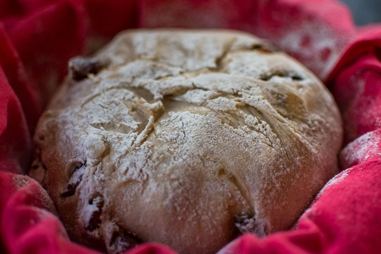 Sourdough proofind in a tea towel lined bowl.