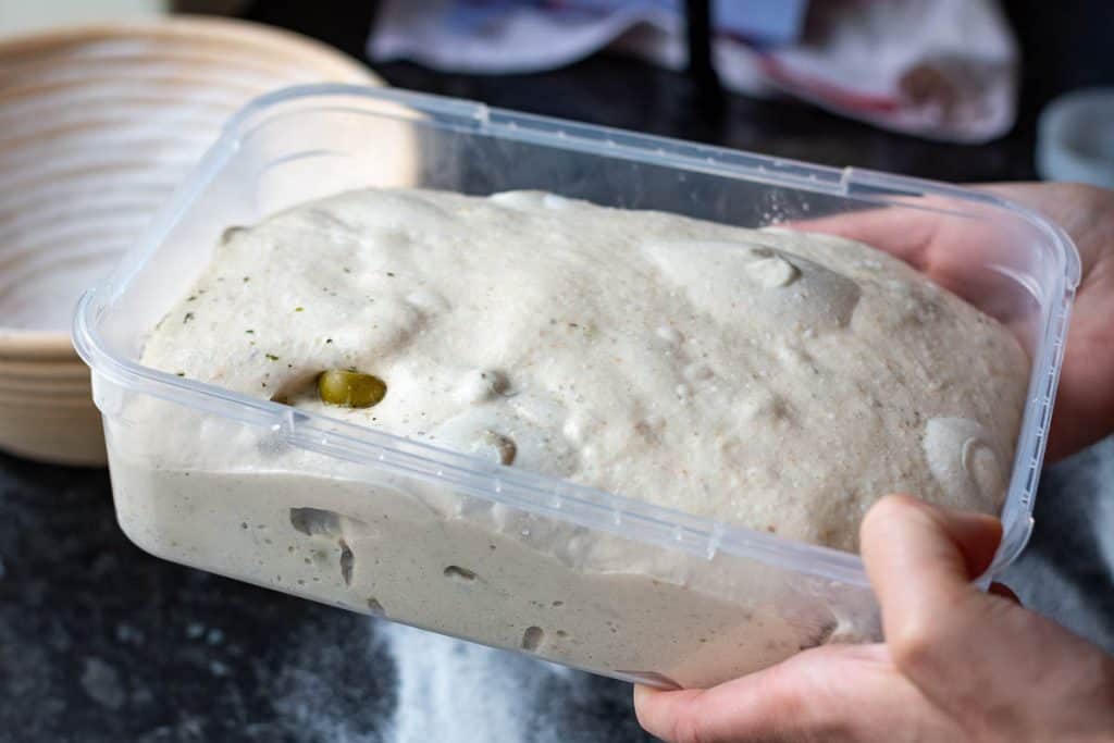 Olive sourdough after bulk fermentation, ready for shaping.