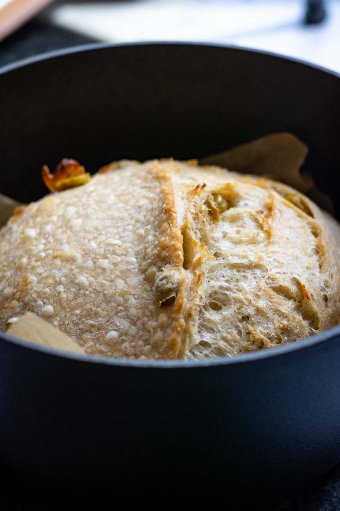 Roasted garlic and olive sourdough after covered baking.