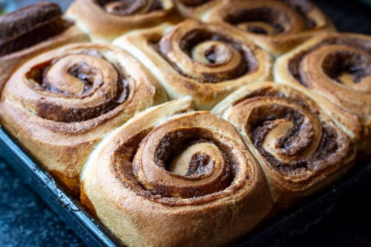 Baked Sourdough buns in a high-rimmed trays.