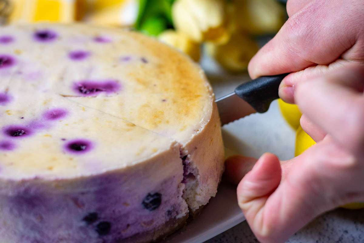 Cutting blueberry lemon cheesecake into portions with a black knife.