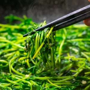 Chinese Stir-Fried Pea Shoots being picked up by a pair of black chopsticks.