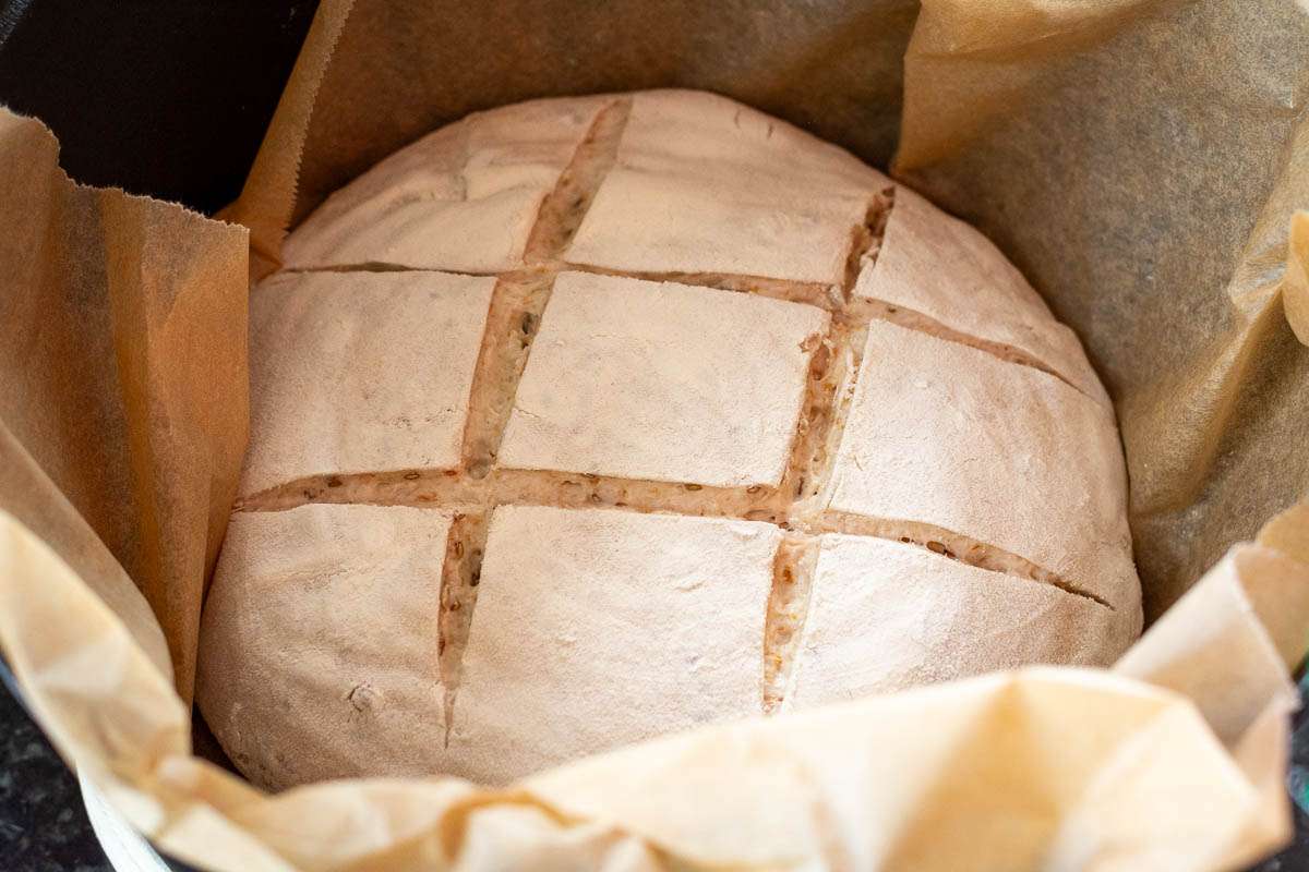 Scored sourdough in a Dutch Oven.