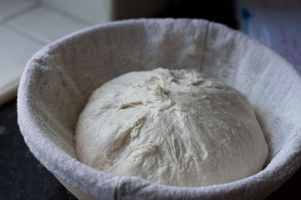 Sourdough ball placed into a floured banneton basket.
