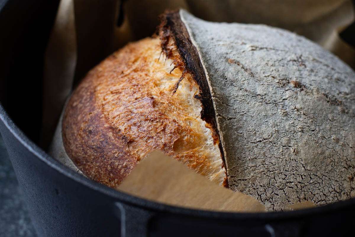 Baked Everyday sourdough bread with caramelised golden brown top and open ear.