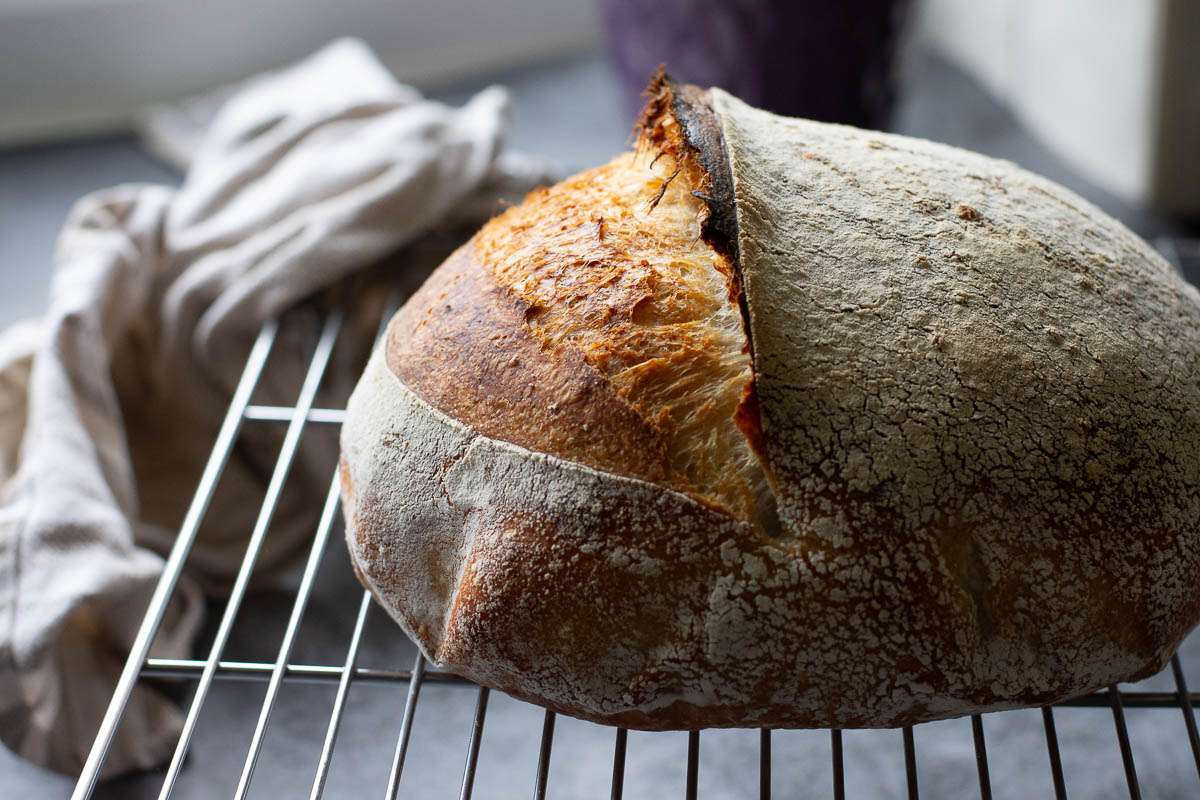 Sourdough loaf cooling on a wire rack.