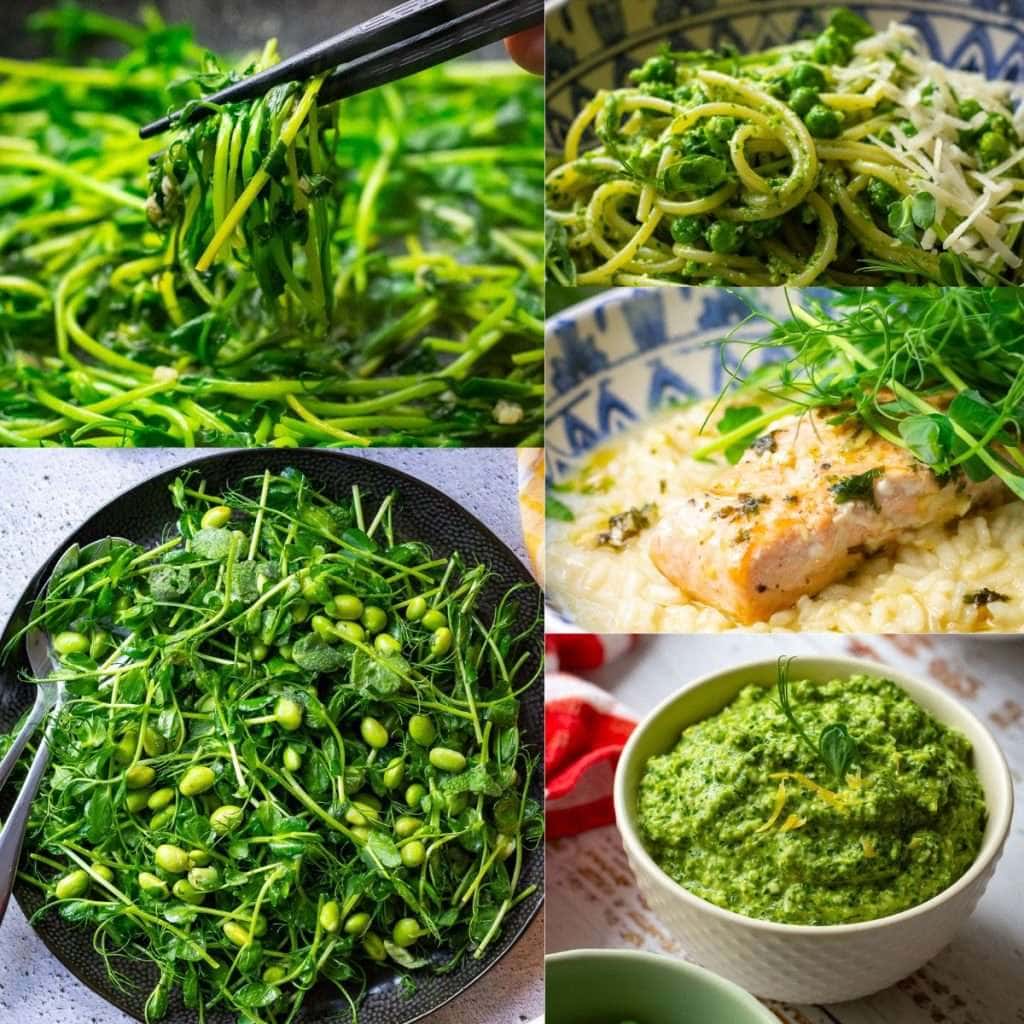 10 Pea Shoot Recipe Ideas Salad Stir Fried And More Somebody Feed Seb