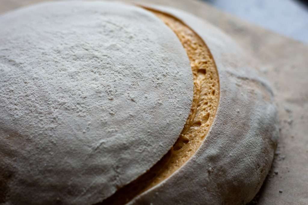 One slash across the side of pumpkin sourdough.