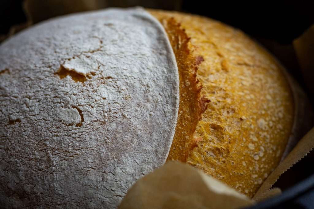 Sourdough Pumpkin bread after 25 minutes of baking in the Dutch oven with a lid on.