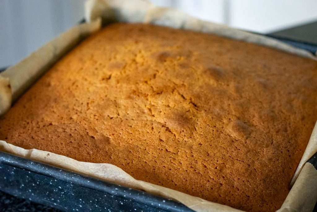 Baked blackcurrant cake in a tin.