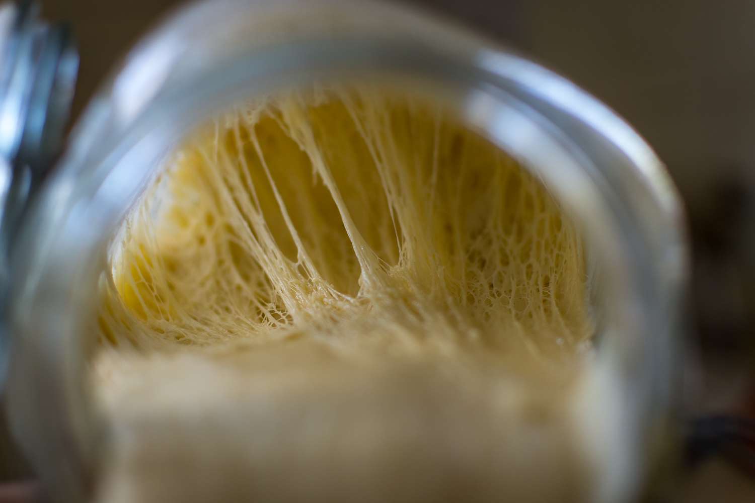 Strong sourdough with visible gluten strands.