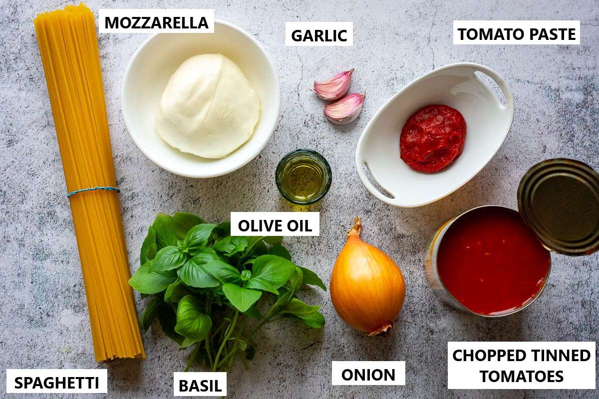 Ingredients for tomato and mozzarella pasta on a light grey surface.