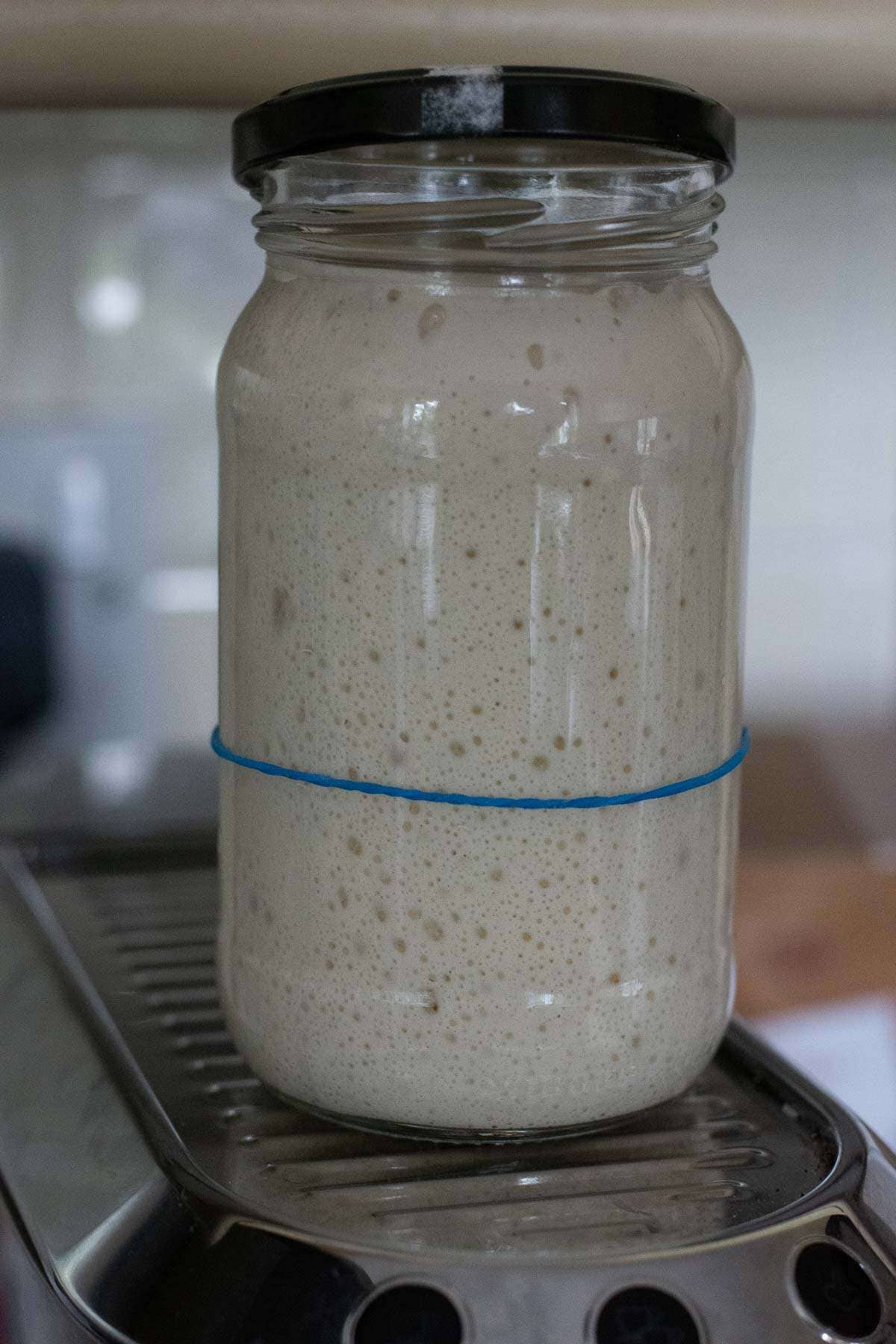 Sourdough starter in a glass jar with a rubber band on a coffee maker to keep it warm.