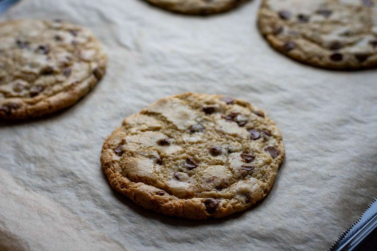 Baked sourdough cookies on a baking sheet.