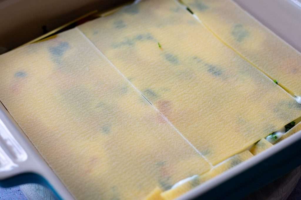 Lasagana sheet layer.