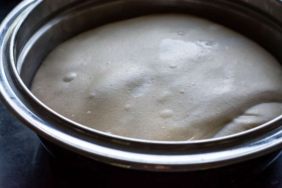 Sourdough dough at the end of bulk fermentation.