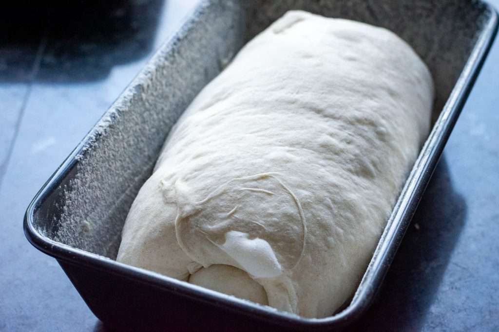 Rolled up Sourdough dough in a loaf pan.