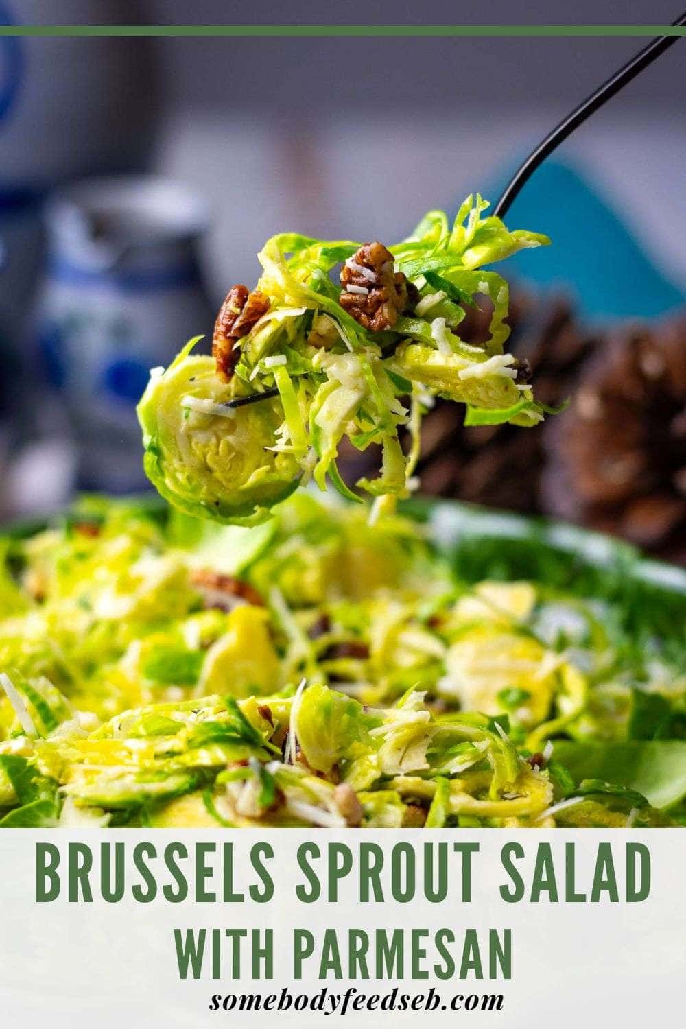Parmesan Brussels Sprout Salad Pin for Pinterest.