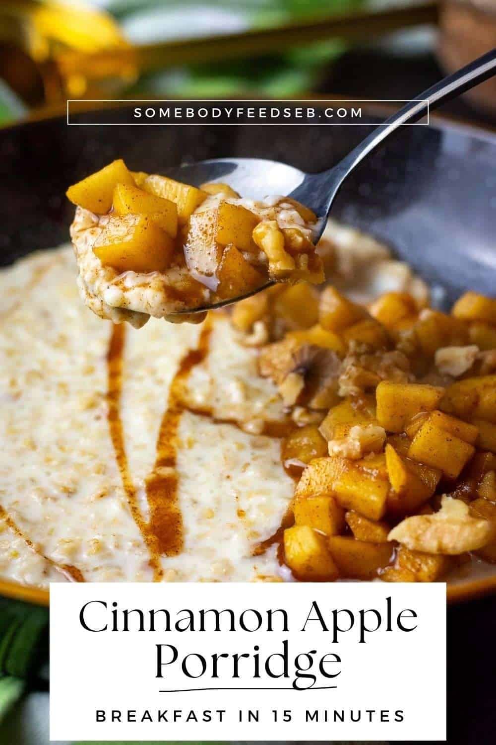 Cinnamon apple porridge Pin for Pinterest.