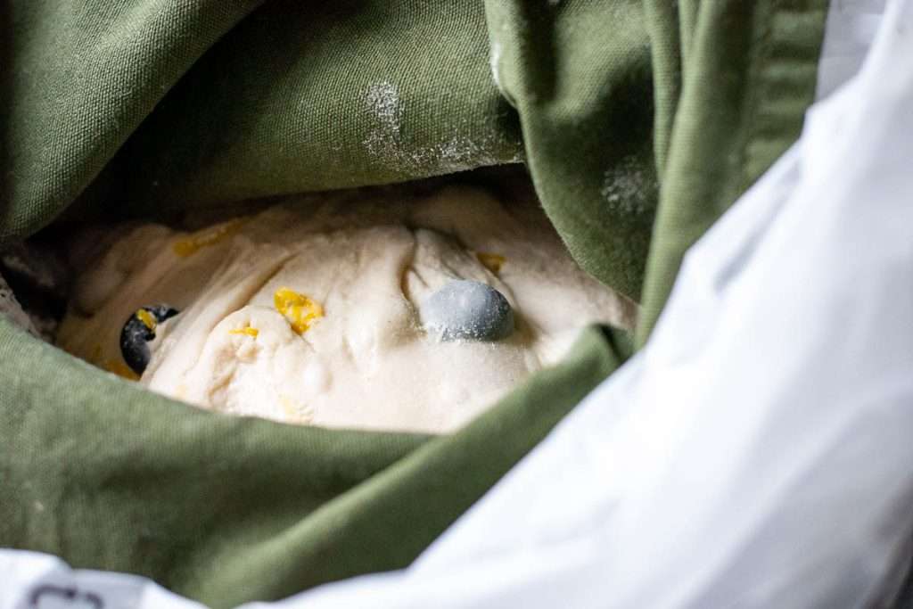 Lemon and blueberry sourdough in a proofing basket lined with fabric.