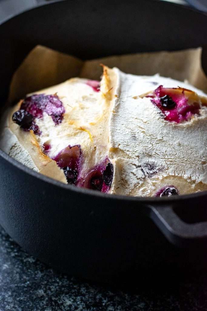 Blueberry sourdough after 25 minutes of baking in a covered Dutch oven.