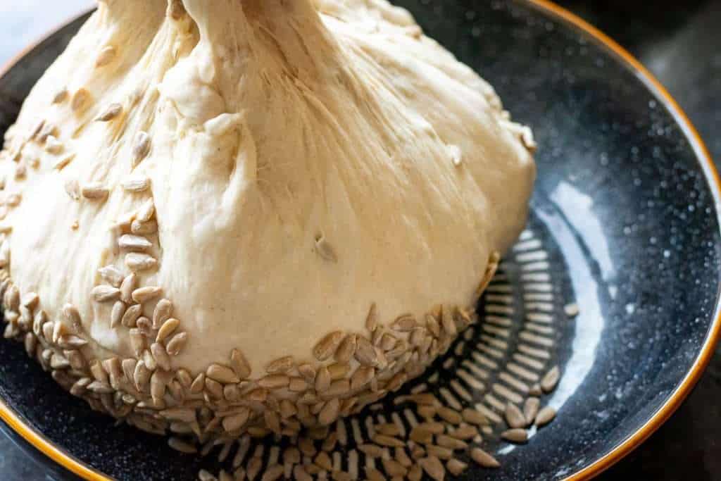 Dipping sourdough ball into sunflower seeds.