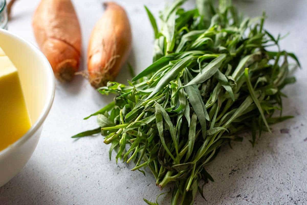 A bunch of fresh tarragon on a kitchen surface.