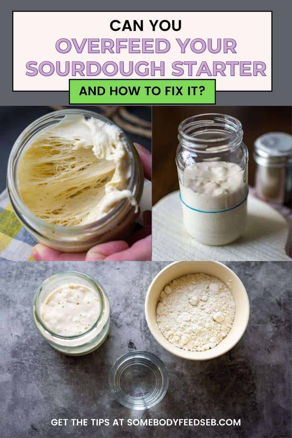 Can you overfeed sourdough starter Pin for Pinterest.