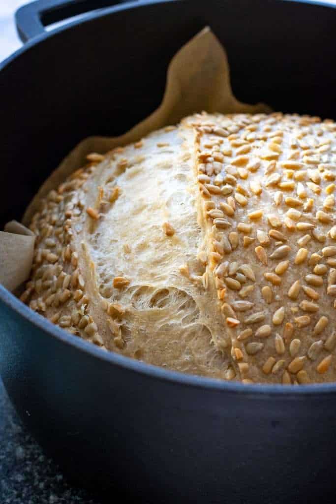 Sunflower sourdough after a period of covered baking in a Dutch Oven.