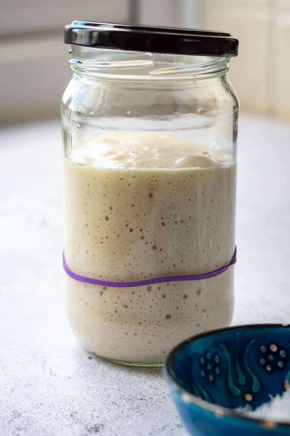 Active sourdough starter that's more than doubled within 4 hours.