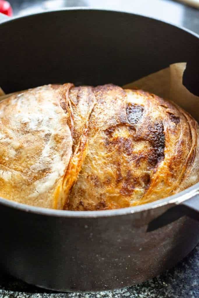 Cinnamon sourdough bread after baking it in a Dutch oven with a lid on.