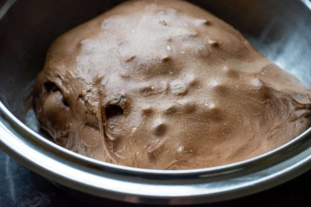 Sourdough with cherries and chocolate chips placed back into a mixing bowl to finish bulk fermentation.