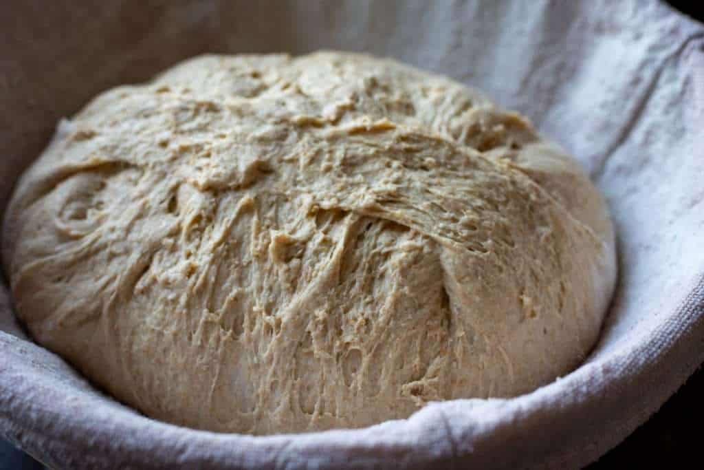 Shaped Einkorn Sourdough in a banneton basket.
