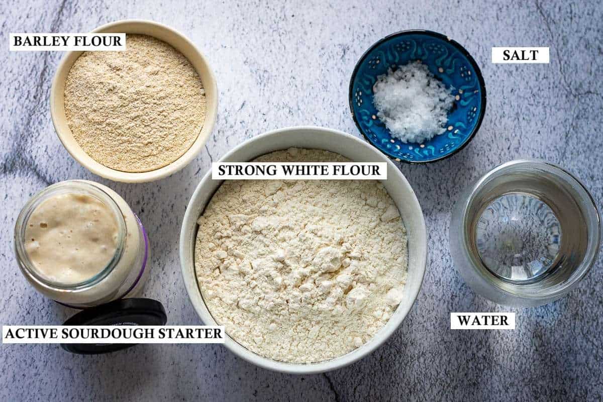 Ingredients for Barley Flour Sourdough Bread on a light grey surface.
