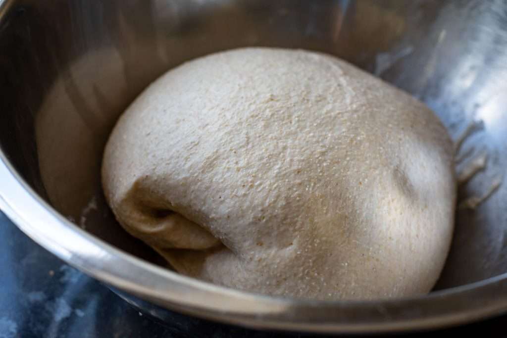 Coil folded barley flour sourdough in a large mixing bowl.