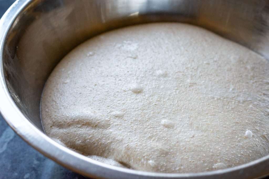 Blisters forming on the surface of sourdough.