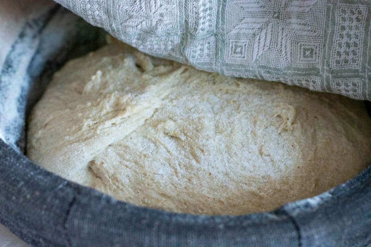 Barley flour sourdough shaped and placed into a banneton basket.