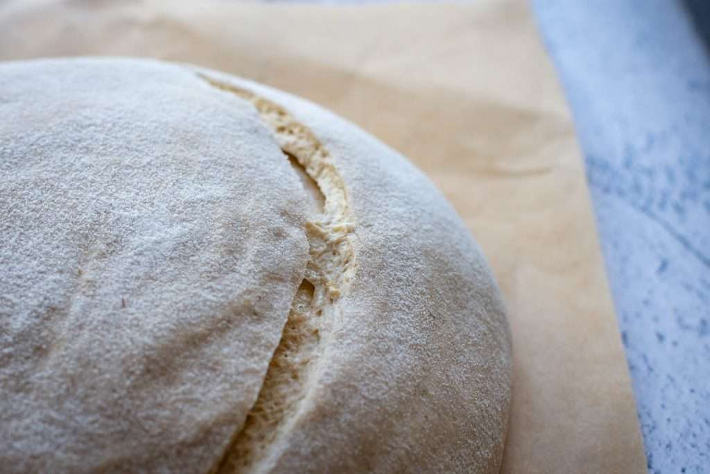 One slash across inverted barley sourdough on a piece of parchment paper.