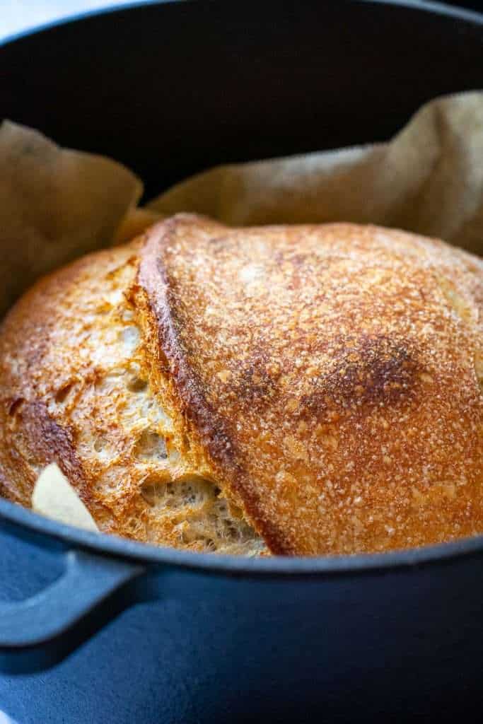 Barley sourdough after uncovered baking.