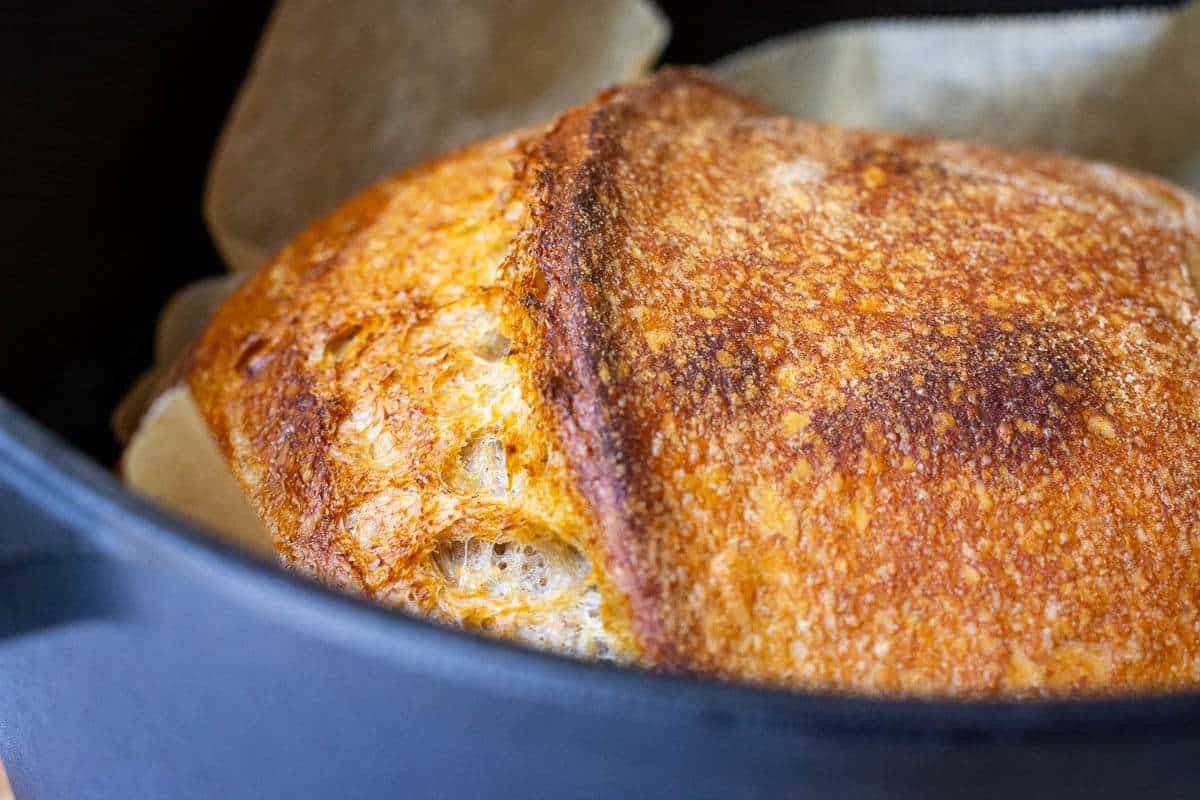 Golden crust of sourdough bread with barley flour.