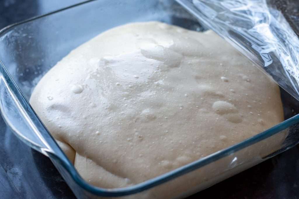 Sourdough after 6 coil folds.