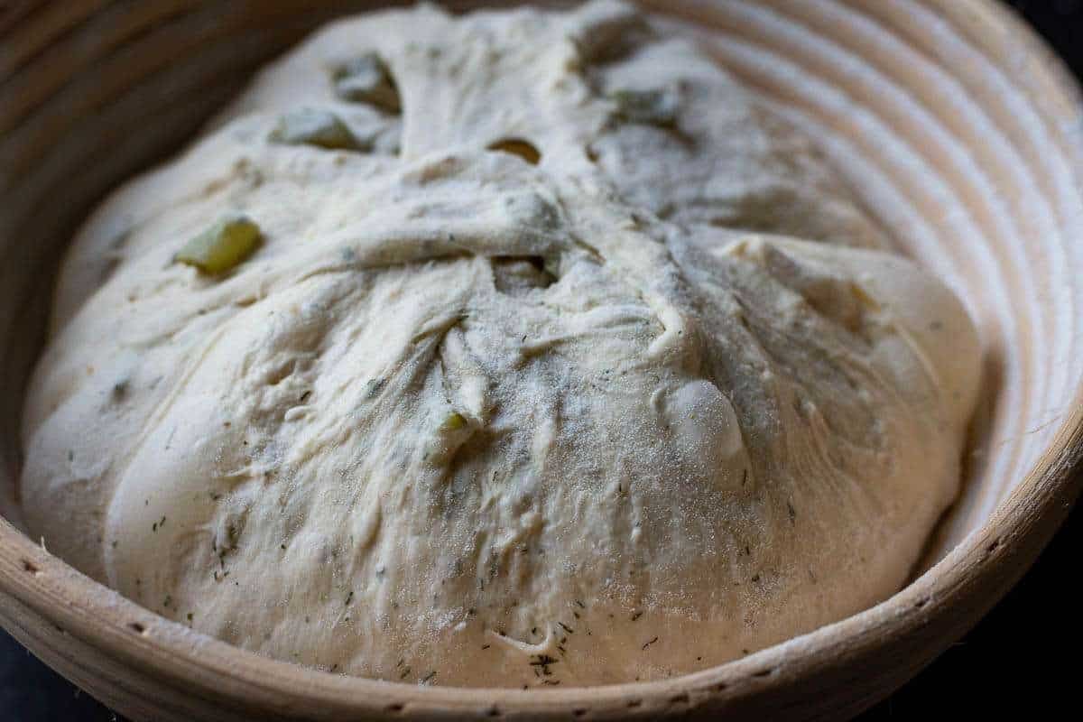 Shaped pickle sourdough in a floured proofing basket.