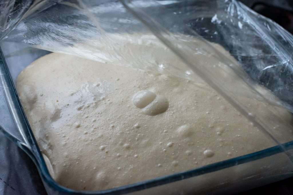 Sourdough at the end of bulk fermentation.