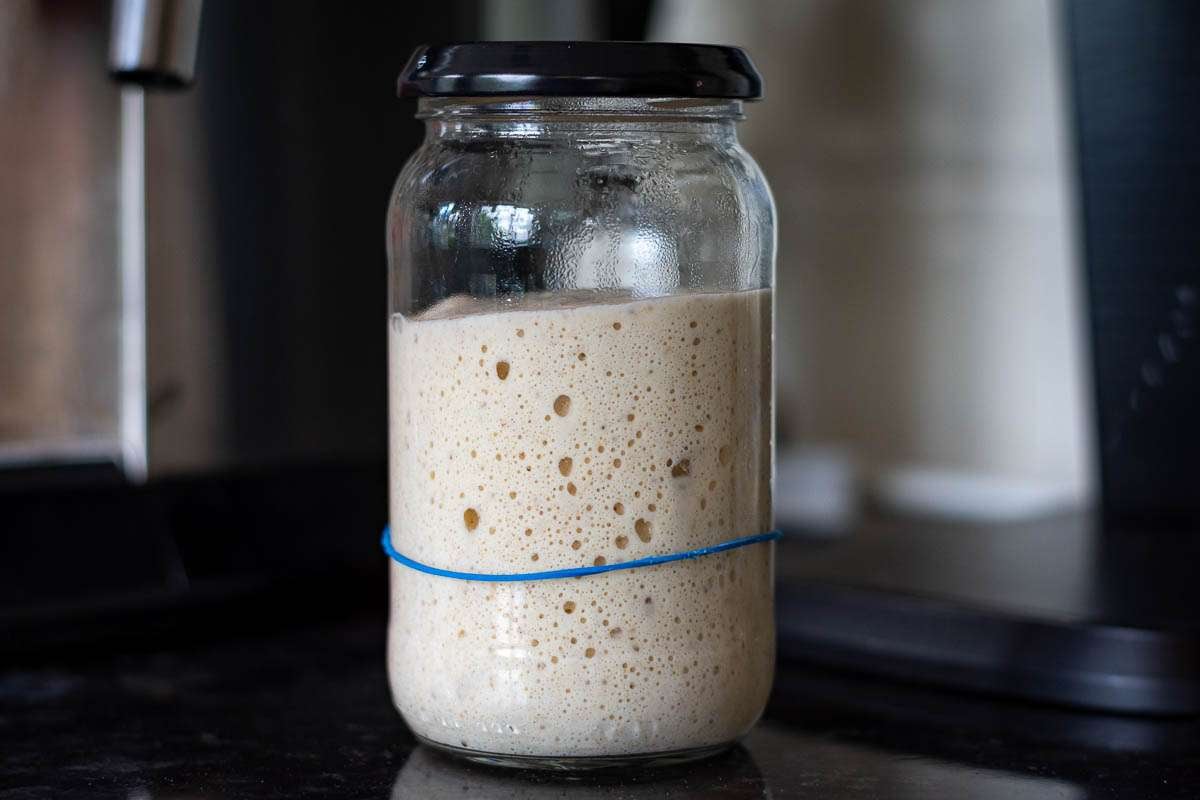 Active sourdough starter more than doubled in volume in a glass jar.