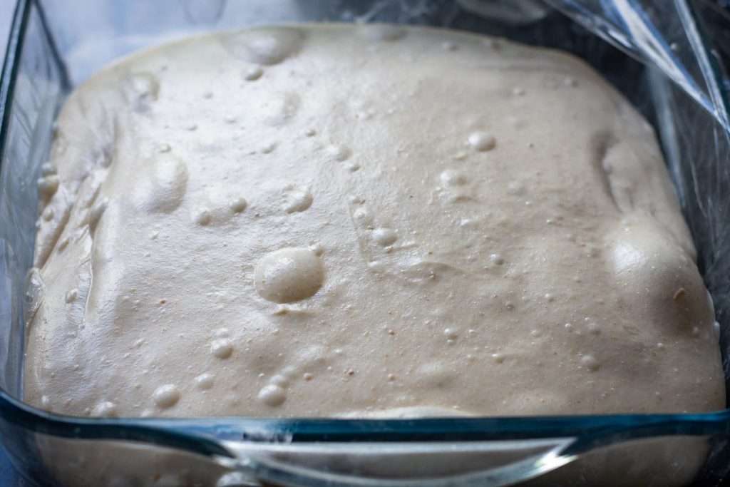 Sourdough focaccia dough at the end of bulk fermentation.