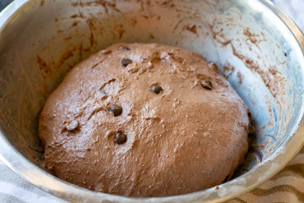 Chocolate Cherry sourdough after the last coil fold.