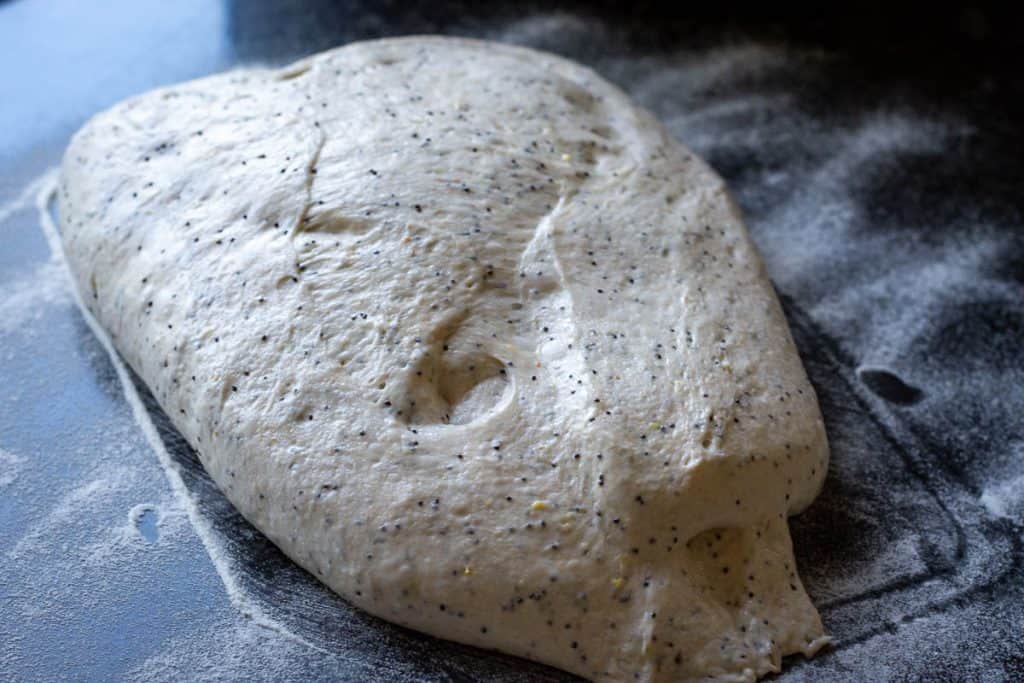 Sourdough after bulk fermentation on a rice flour dusted kitchen surface ready for shaping.