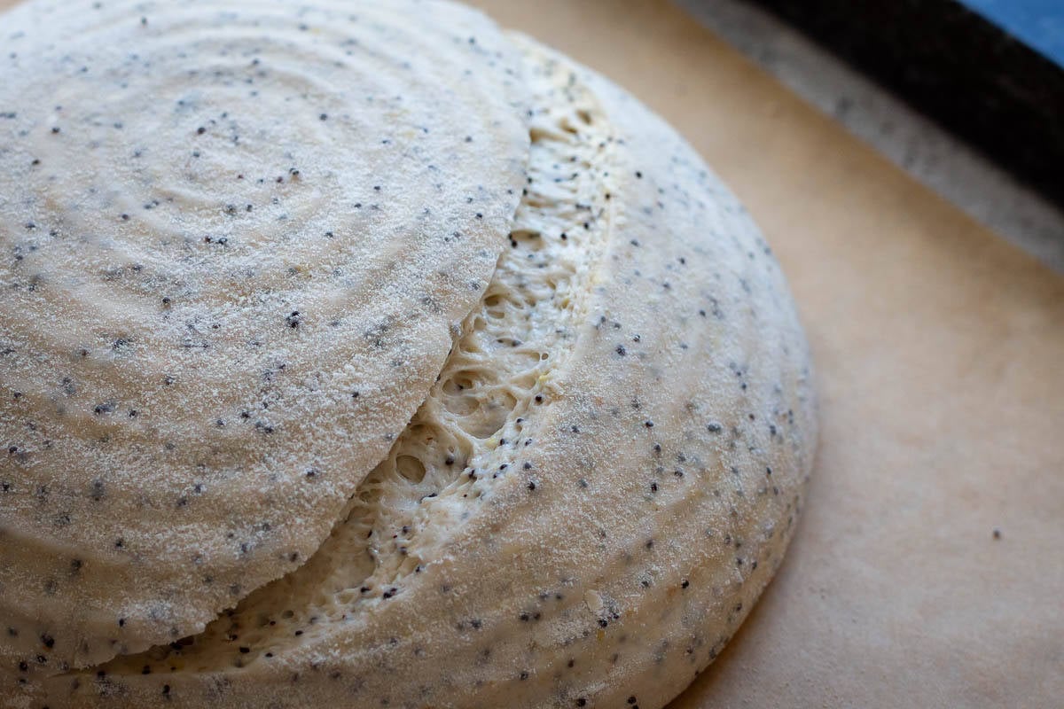 Scored lemon poppy seed sourdough on a piece of parchment paper.