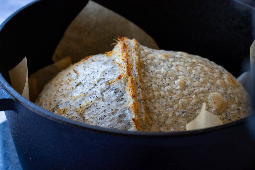 Lemon Poppy seed sourdough after covered baking in Dutch Oven.